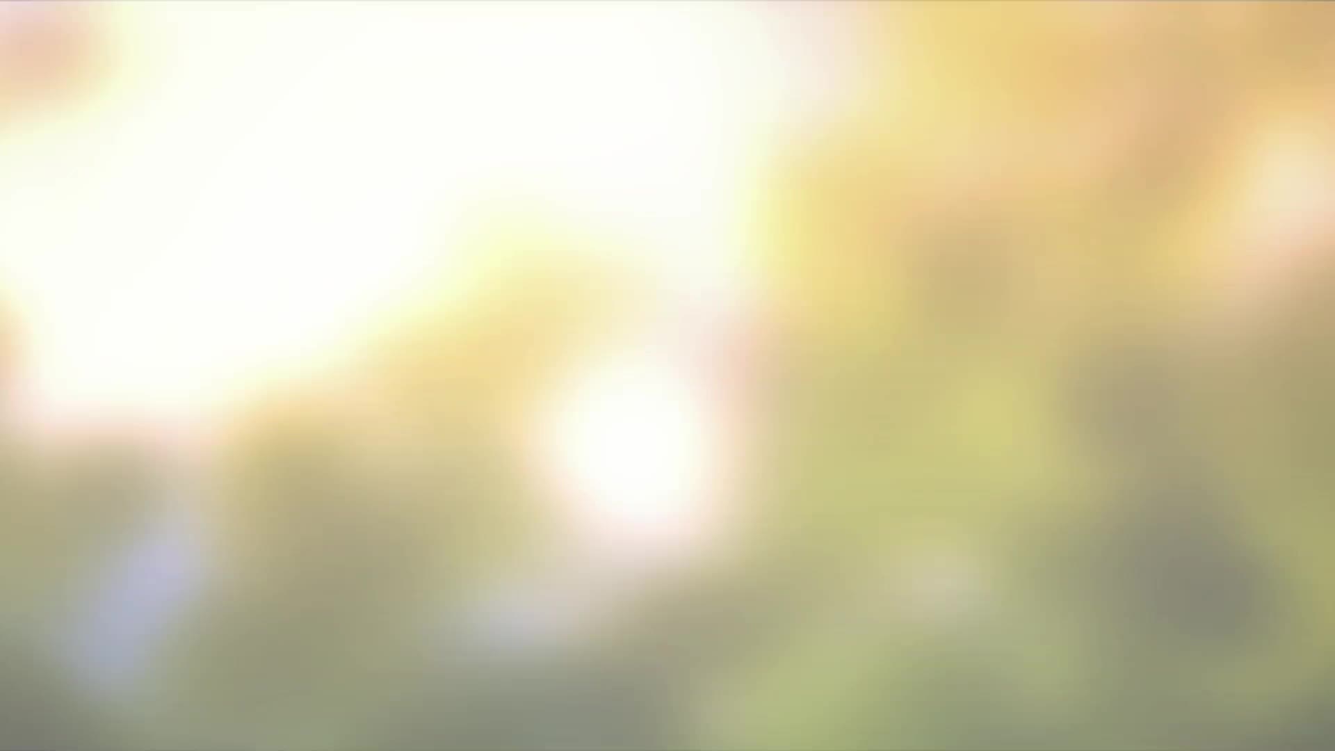 周朝胜 刘艺伉俪专项基金视频